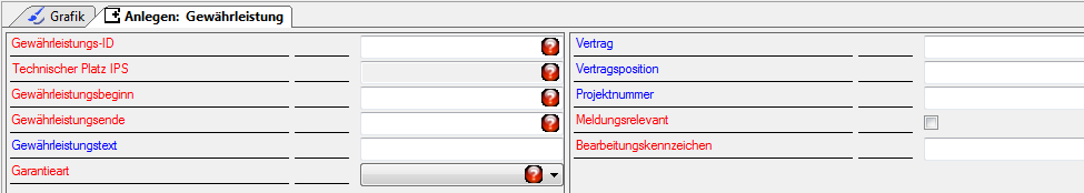 Optionen für das Anlegen einer Gewährleistung Optionen für das Anlegen einer Gewährleistung