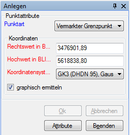 Optionsfenster für das Anlegen eines Katasterlagepunktes